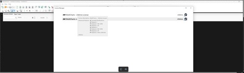 Multicharts lifetime doppia - -,